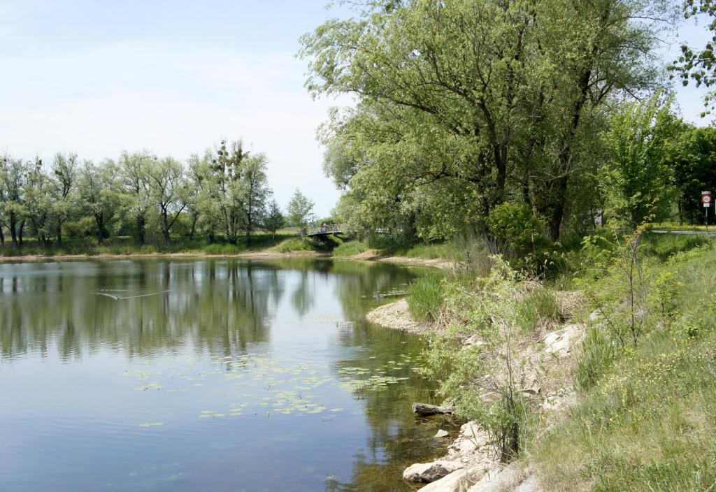 Fischteich Urlaub In Vorarlberg