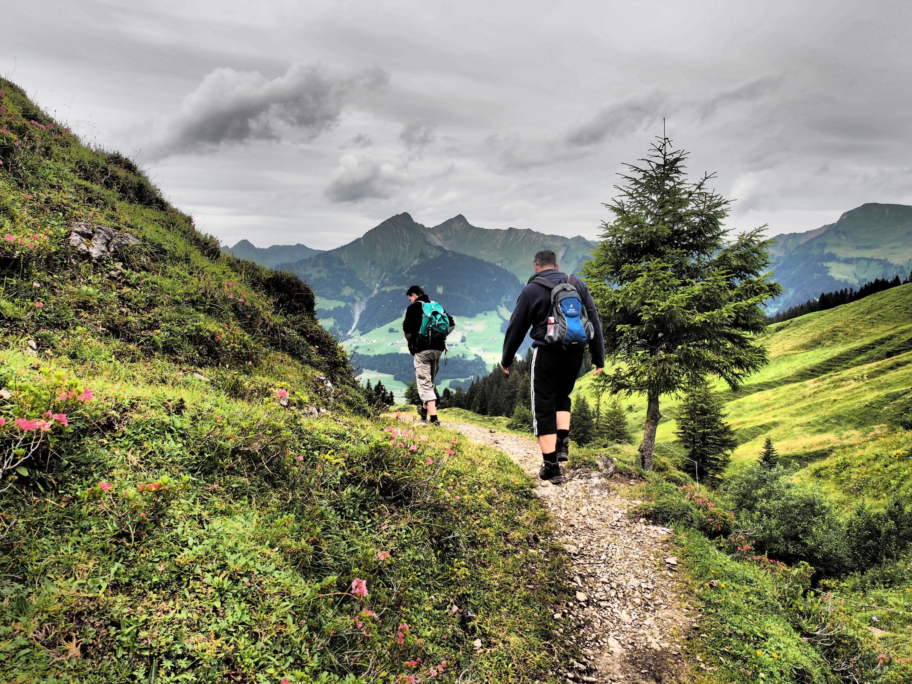 Steris - Oberpartnom - Unterpartnom | Sonntag - Urlaub In Vorarlberg