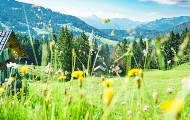 Alpe Streichbrunnen, Hittisau, Wiesenmeisterschaft (c) Dietmar Denger / Vorarlberg Tourismus