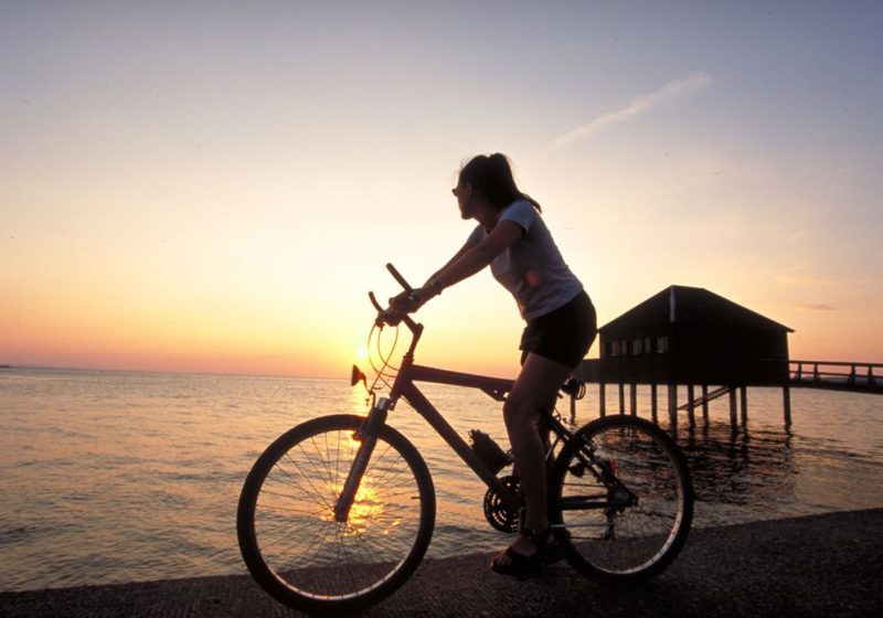 Radfahren, Radwege, Bodensee Radweg Urlaub in Vorarlberg