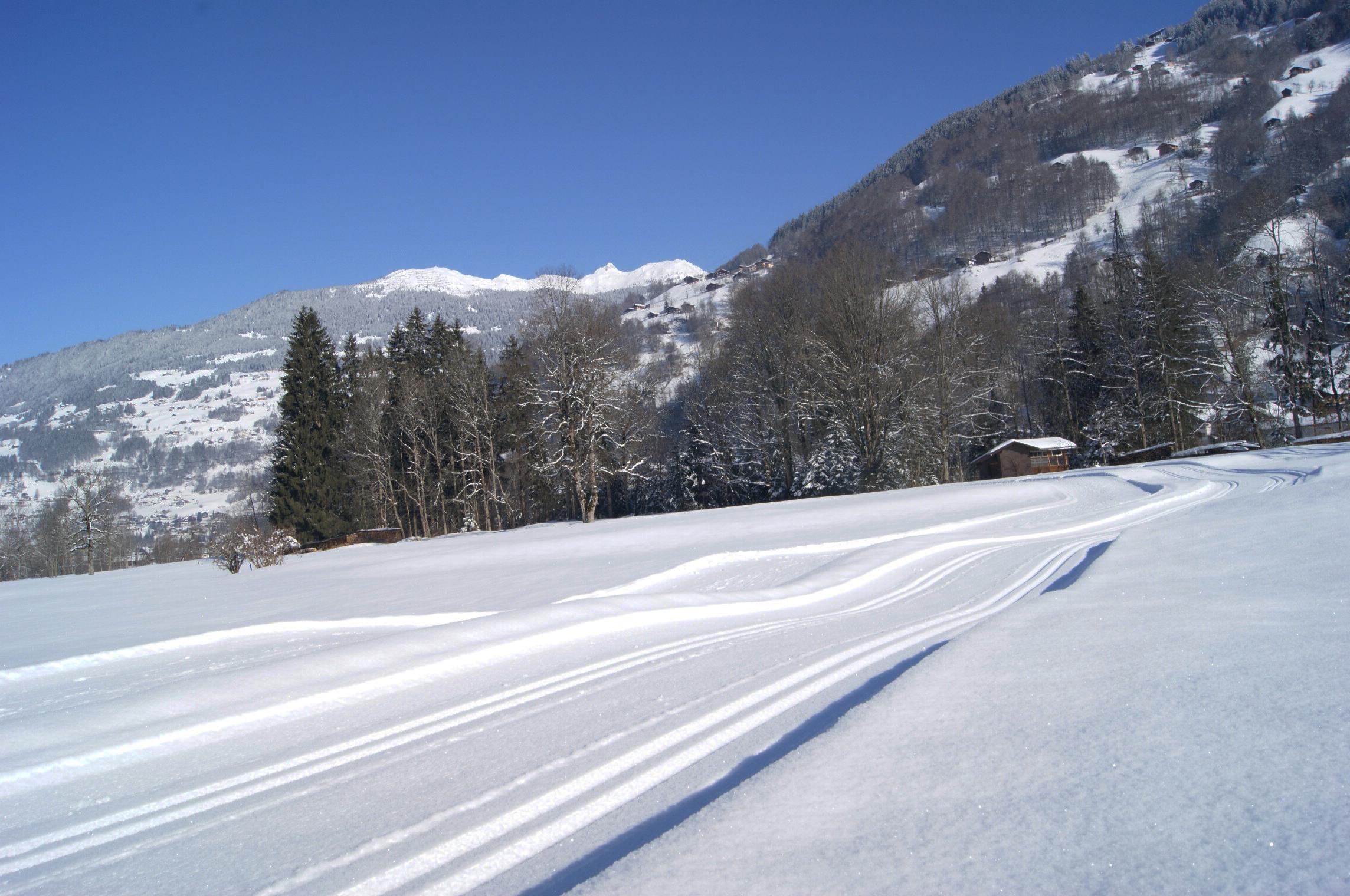 Nr. 30: Große Zelfen Runde Tschagguns (klassisch & skating) - Urlaub in ...