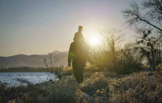 Birdwatching Rheinspitz Johanna Kronberger © Dietmar Denger / Vorarlberg Tourismus