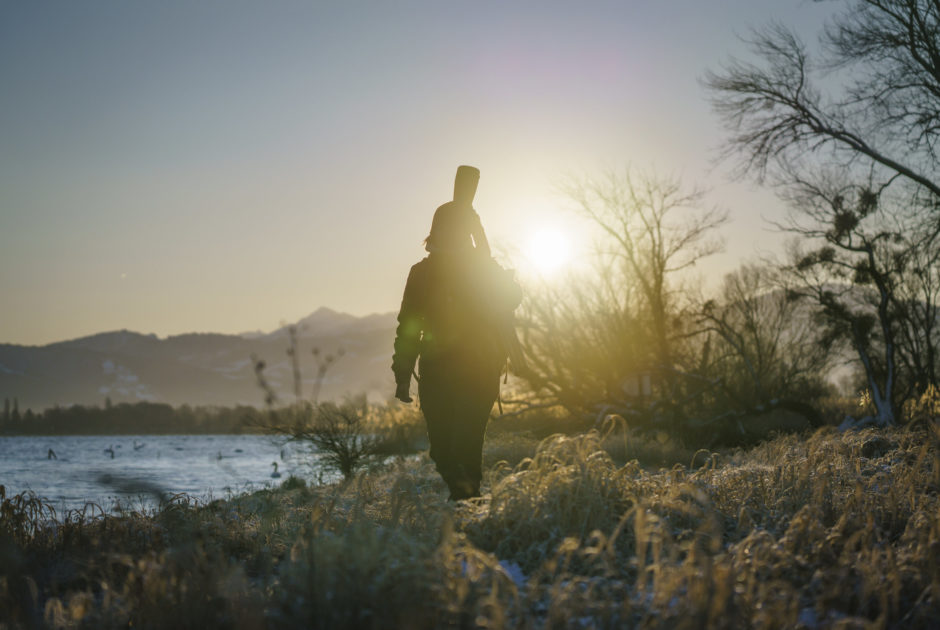 Birdwatching Rheinspitz Johanna Kronberger © Dietmar Denger / Vorarlberg Tourismus