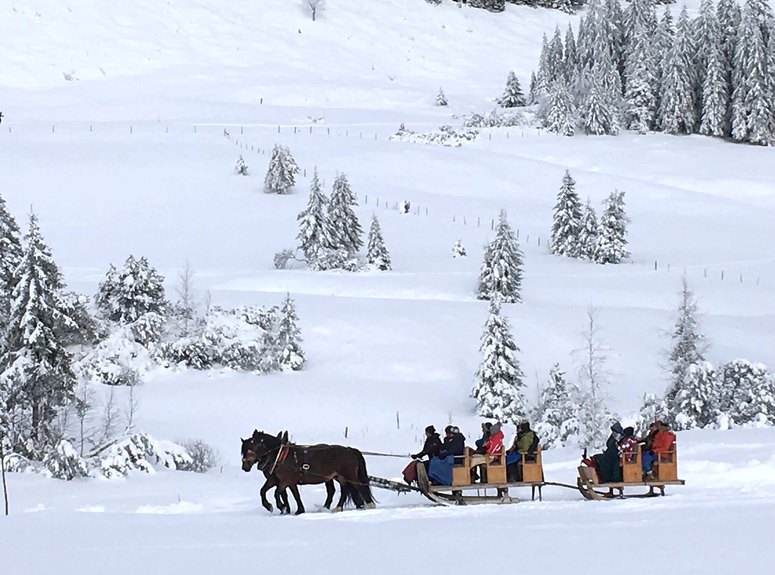 Abseits Der Pisten Den Winter Erleben - Erlebnisse Im Schnee