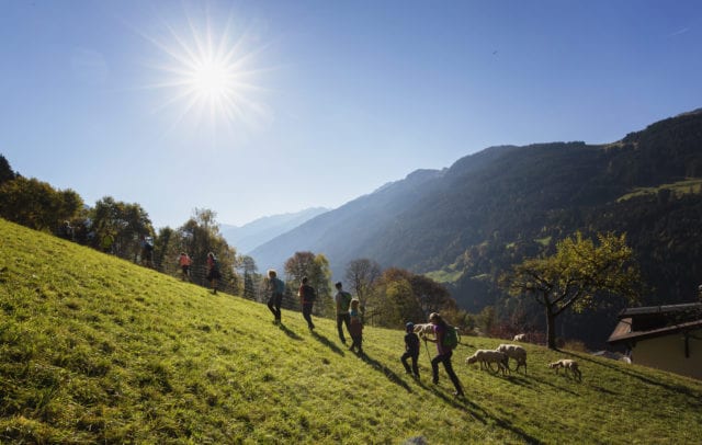 Kräuterwanderung Montiel, Montafon (c) Andreas Haller-Montafon Tourismus GmbH Schruns