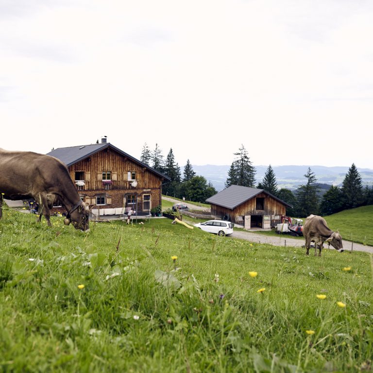 Alpe Andlisbrongen Schetteregg © Alex Kaiser / Vorarlberg Tourismus