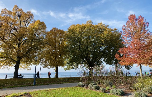 Bregenz Bodenseepromenade im Herbst (c) Katharina Fa - Vorarlberg Tourismus