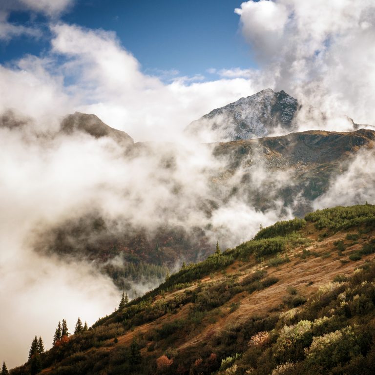 Europaschutzgebiet Wiegensee (c) Andreas Haller - Montafon Tourismus GmbH, Schruns