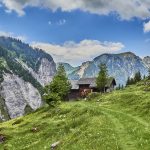 Rinderalpe Sonntag-Buchboden (c) Markus Wäger I Vorarlberg Tourismus