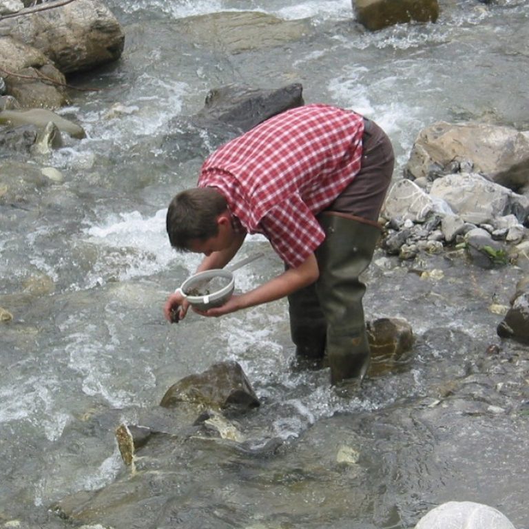 Gerhard Hutter (c) Umweltinstitut Vorarlberg