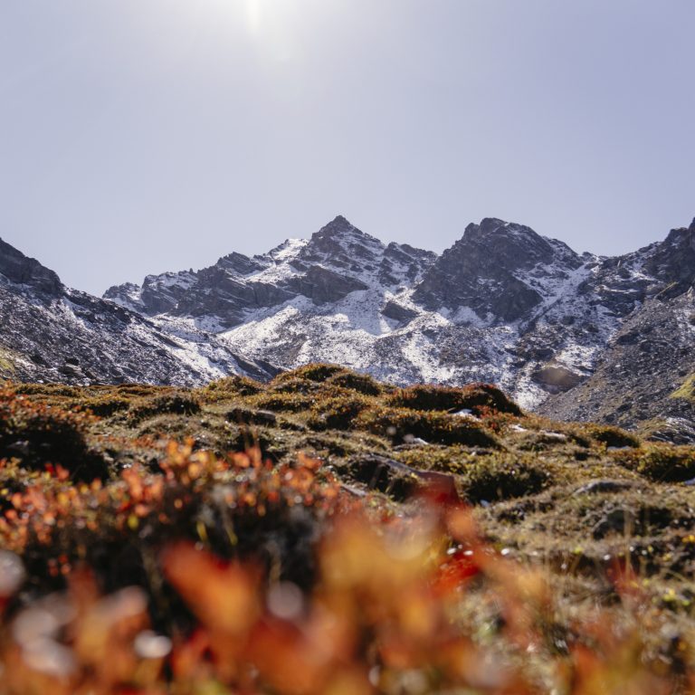 Vergaldatal im Montafon (c) Sabrina Bechtold I Vorarlberg Tourismus