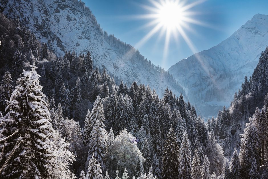 Schoppernau Winterwald Sonne 2 OEW Winterzauber © Sebastian Stiphout / Österreich Werbung